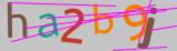 Verification code image