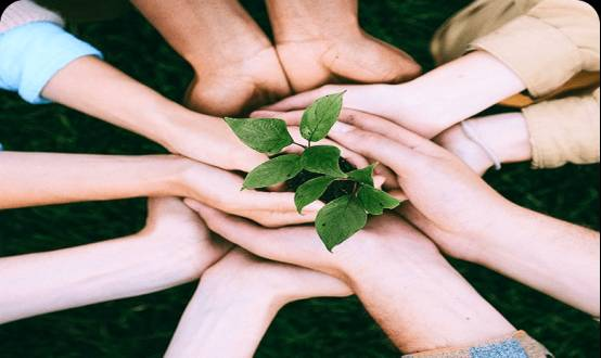 Optimal allocation of resources and costs