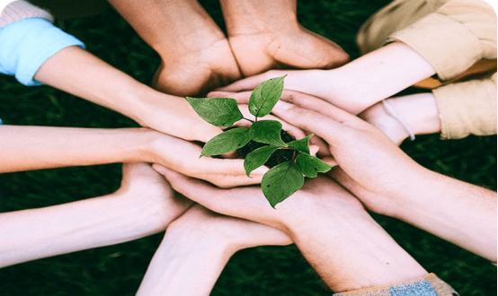 Optimal allocation of resources and costs